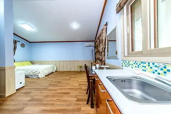 Kings Garden Pension 済州市 2*,